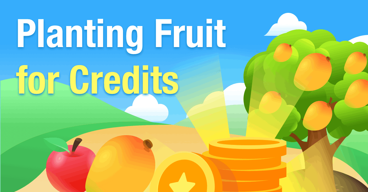 plant fruit to earn dingtone credits